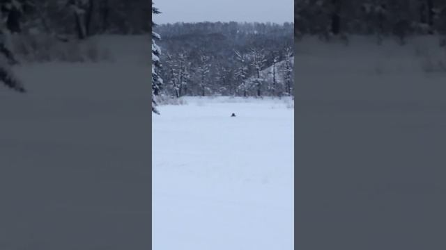 Опкатка нового снегохода BRP смотреть онлайн