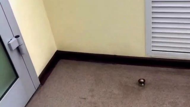 Уборка квартир смотреть онлайн