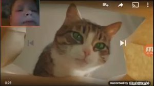 Mobizen  kitekat Реклама