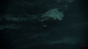 5 ПОГРУЖЕНИЙ ВО ТЬМУ СНЯТЫХ НА КАМЕРУ. Зомби Чез