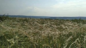 природа Башкортостана