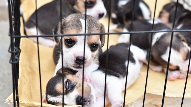 Scams to look out for in 2023 смотреть онлайн