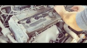 Акцент замена ВВ проводов