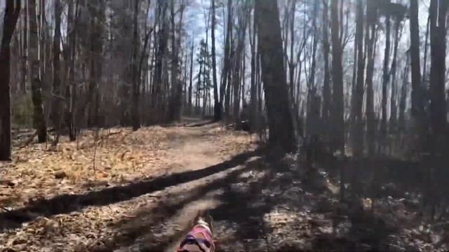 Семейная пробежка по берегу Финского залива. Северное побережье Невской губы смотреть онлайн