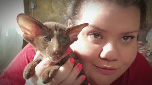 АСМР ❤ Забота о тебе ❤ Массаж лица. Домашнее видео Шёпотом, звуки рук