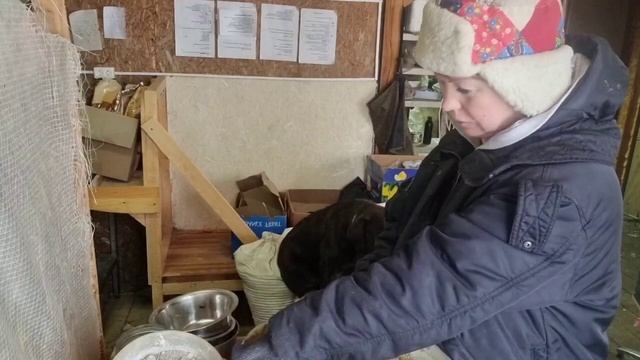 ОТ ТАКОГО КОРМА КУРЫ В ОЧЕРЕДЬ НА ГНЕЗДО смотреть онлайн