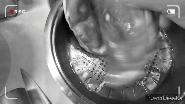 Путешествия Вокруг Света