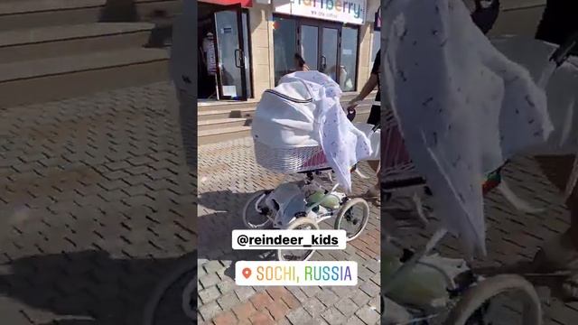 Коляска Reindeer Prestige Wiklina цвет W3 смотреть онлайн