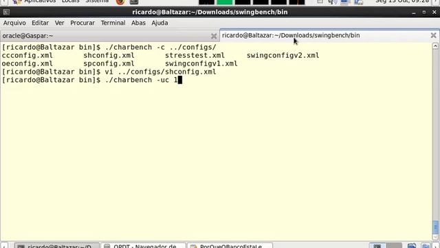 Oracle Tuning - Simulando uma carga de BI смотреть онлайн