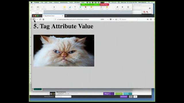 CNIT 129S - Securing Web Applications, April 18, 2018 Lecture смотреть онлайн