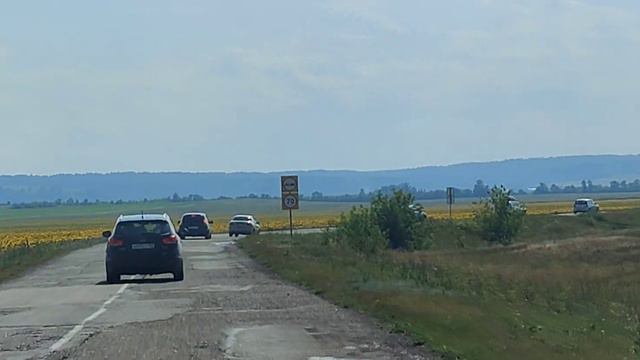Поле подсолнухов. По пути к озеру Аслыкуль. смотреть онлайн