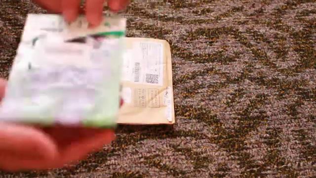 Насіння помідорів з сайту Aliexpress смотреть онлайн