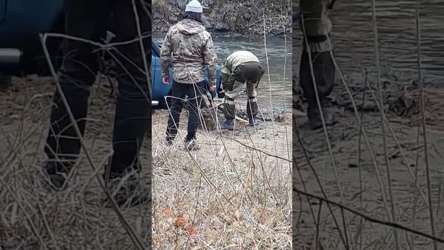 Утопили Фросю. Утопили Нив. Сколько воды сольём? Нива а Речке)))