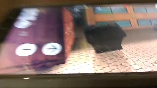 секреты extreme car driving симулятор. смотреть онлайн