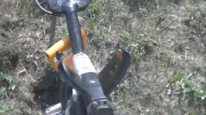 Царское золото!   Искатели 47 регион его нашли !!