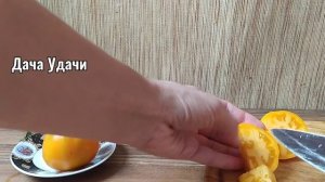 ДЕГУСТАЦИЯ двух сортов ЖЕЛТЫХ ТРЮФЕЛЕЙ!!!! Какой из них окажется лучше!?! Дача удачи