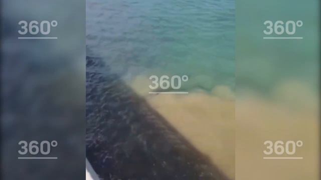 Сочинцы возмутились отсыпкой песка на пляже Лоо смотреть онлайн