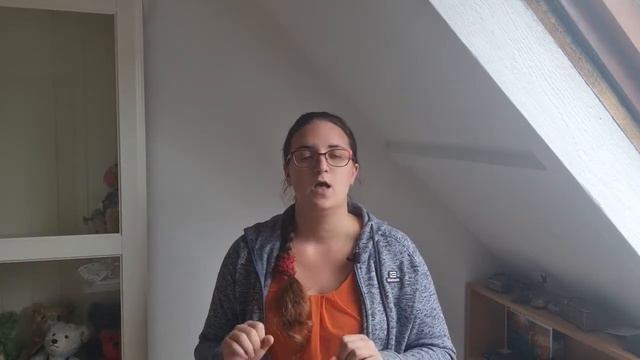 ЖИЗНЬ В НИДЕРЛАНДАХ - ГЛАВНЫЕ МИНУСЫ | 12 ЛЕТ ПОСЛЕ ПЕРЕЕЗДА смотреть онлайн