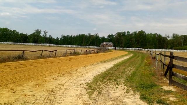 The Making Of A Thoroughbred Champion Race Horse смотреть онлайн