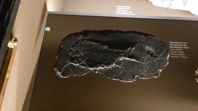 ЧЕХИЯ!!!ЭКСКУРСИЯ В НАРОДНЫЙ МУЗЕЙ ГОРОД ПРАГА!!! смотреть онлайн