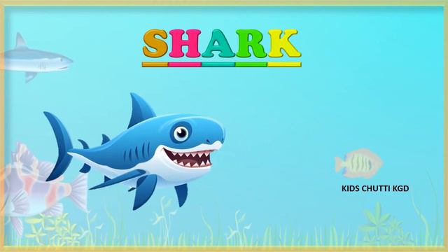 Aquatic animals name ||water animals | sea animals|english vocabulary| ocean animals/ marine animal смотреть онлайн