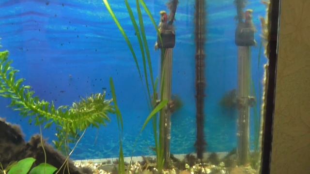 Panasonic HC-V160EE-K смотреть онлайн