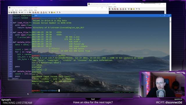 Hacking Livestream #17: Basics of fuzzing смотреть онлайн