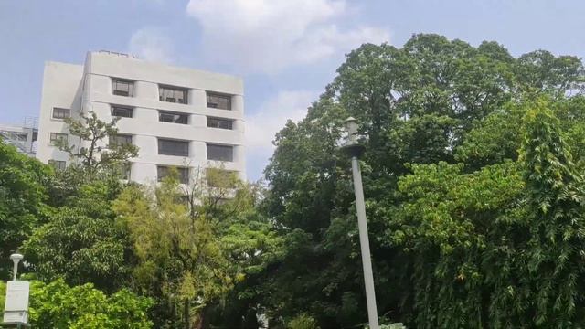 #How to go Belle Vue Clinic Kolkata/ Belview Multi-speciality Hospital смотреть онлайн
