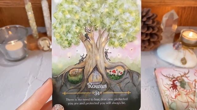 【開封動画】☆Seasons of the Witch BELTANE ORACLE☆魔女たっぷりのオラクルカードのご紹介です?♀️? смотреть онлайн