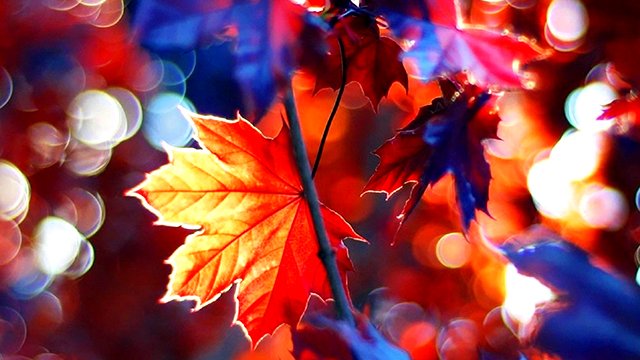 Пётр Лещенко - "Чёрные глаза" смотреть онлайн