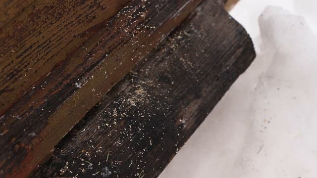 Зимовка ПАСЕКИ. Чистка летков от подмора и Прослушка Пчёл. смотреть онлайн