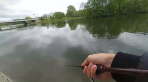 Что может спиннинг-трэвел. Flagman Plex Mobile. Карманный спиннинг для путешествий.