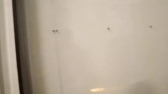 idubbbz visits tana Mongolia смотреть онлайн