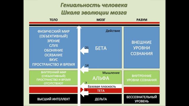 Шкала эволюции мозга смотреть онлайн