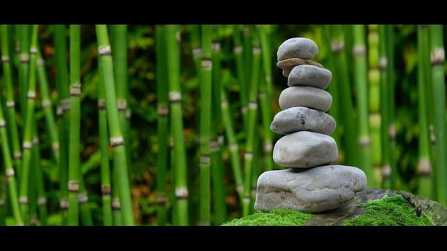 Beautiful Bamboo Flute, piano, Zen Relax Music, Nature Tropical Forest, Sounds Meditation, Sleep смотреть онлайн