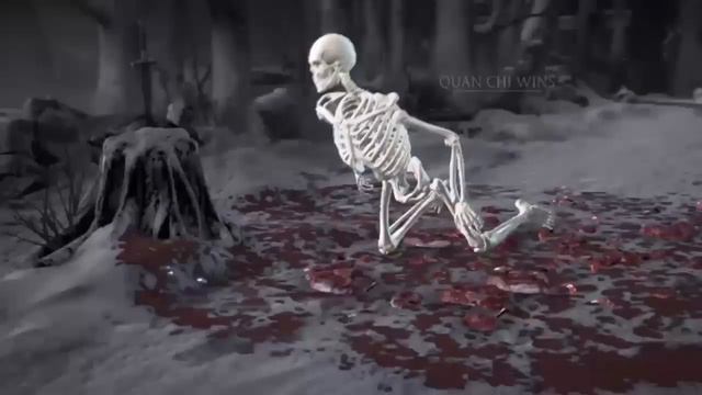 Mortal Kombat X - Brotherhood of shadow SILENCE faction kill смотреть онлайн