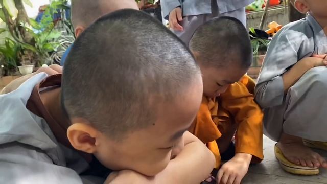 5 Chú Tiểu | PHÁP TÂM ĐAU LÒNG NGỒI KHÓC CẢ BUỔI SÁNG VÌ CON KHỈ CỦA THIỀN AM ĐÃ CHẾT :(( смотреть онлайн