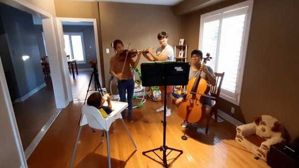 Love Me Tender - Trio Performance For A Baby (Flute, Violin and Cello Arrangement)