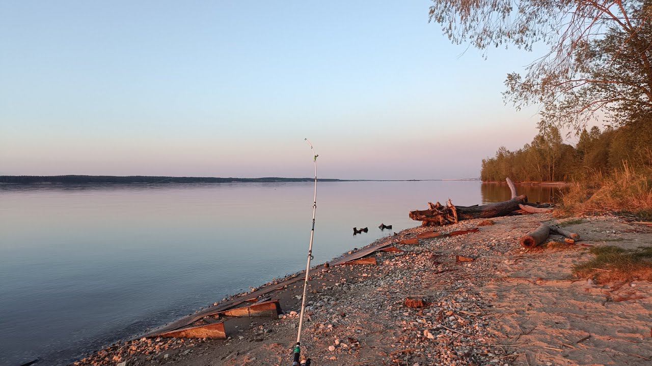 Слегка обрыбился в новом сезоне. смотреть онлайн