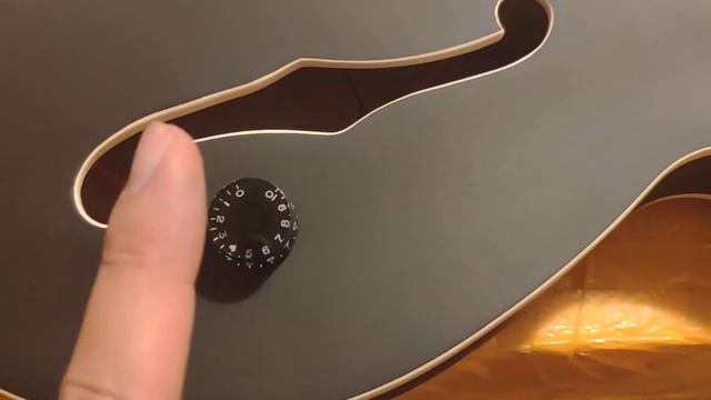 Обзор сборки китайской реплики Gibson ES-335 Tom Delonge