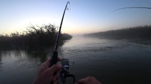 КТО ТАМ РЫБА ГИГАНТ НЕ МОГУ ПОДНЯТЬ РЫБАЛКА В АСТРАХАНИ