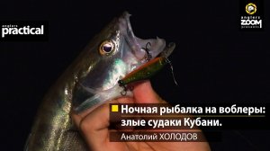 Ночная рыбалка на воблеры: злые судаки Кубани. Анатолий Холодов. Anglers Practical