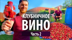 Клубничное вино в домашних условиях  | Часть 2