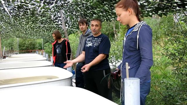 Куда пойти учиться на бюджет или очень много сёмги /Lots of salmon смотреть онлайн