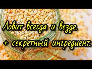Перловка для рыбалки + C5H8NO4Na
