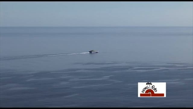 LA PALMA NAVIDAD 2013 NOVAFOTO LES DESEA FELIZ NAVIDAD смотреть онлайн