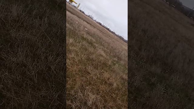 16 марта 2024 г..mp4 смотреть онлайн