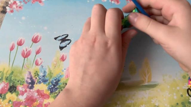 Enchanted Explorations