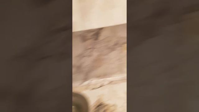 Квартира в ЖК Звезда Столицы. Студия продаётся. смотреть онлайн