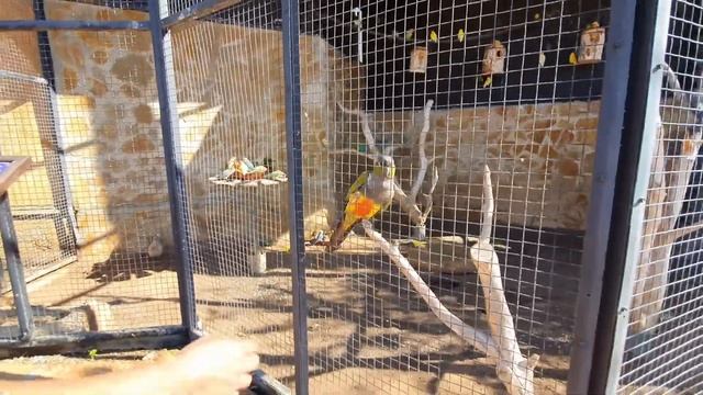 MARINELAND MALLORCA Palma de Mallorca смотреть онлайн